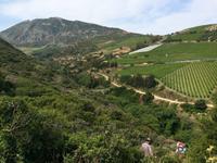 092  Knosiano-Schulcht