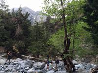 128 Samaria-Schlucht