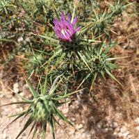 181 Impressionen