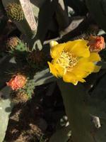 185 Impressionen