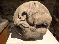 446_Das dreizehnte Sternzeichen