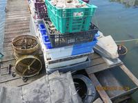 Austernfabrik Oostende