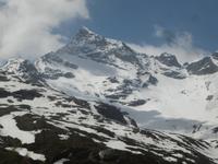 Fahrt mit den BerninaExpress