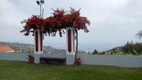 im Weingut