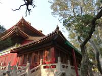 026. Peking, Kaiserpalast-Verbotene Stadt