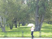 050. Peking, Himmelstempel