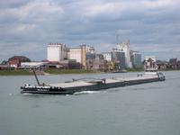 Reger Schiffsverkehr auf dem Rhein