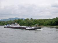 Reger Schiffsverkehr auf dem Rhein