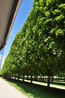 Jardin de Versailles - Die Gärten