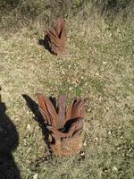 Spoerrigarten, Seggiano, Bomberblüten