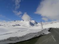 Sognefjell im Juni 2015
