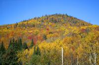 Indian Summer Laubfärbung