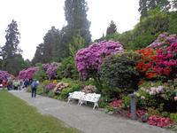 Insel Mainau