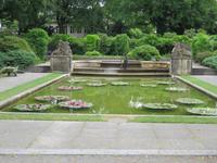 189 Ausflug nach Bern - Rosengarten