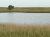 Wandern im Nationalpark Darss