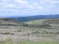 Dartmoor