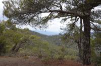 Wanderung auf dem Madari-Weg