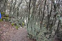 Wanderung auf dem Madari-Weg