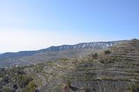 Weinfelder im Trodoosgebirge