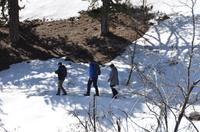 Wanderung durch den Schnee