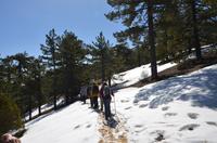 Wanderung durch den Schnee