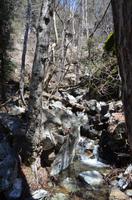 Caledonia-Wasserfälle