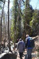 Wanderung auf dem Caledonia-Weg
