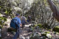 Wanderung auf dem Caledonia-Weg
