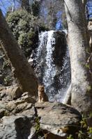 Caledonia-Wasserfälle