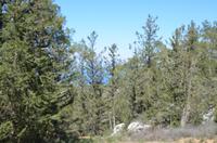 Pentadaktilos-Gebirge