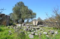 Ruine eines ehemaligen Gehöfts 