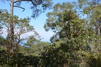 Pentadaktilos-Gebirge