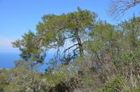 Blick aufs Mittelmeer