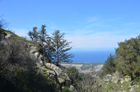 Blick aufs Mittelmeer