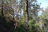 Pentadaktilos-Gebirge