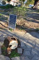 Demetris Malheur beim Picknick