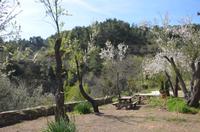Aussicht Scheunendachkirche