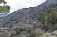 Weinfelder im Trodoosgebirge