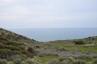 Blick aufs Mittelmeer