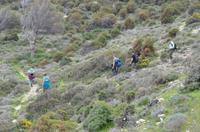 Wanderung zum Aphrodite-Felsen