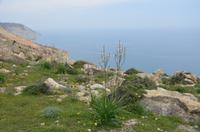 Blick aufs Mittelmeer