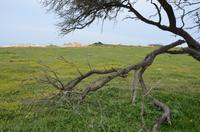 Wanderung zum Aphrodite-Felsen