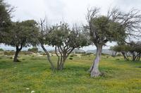 Wanderung zum Aphrodite-Felsen