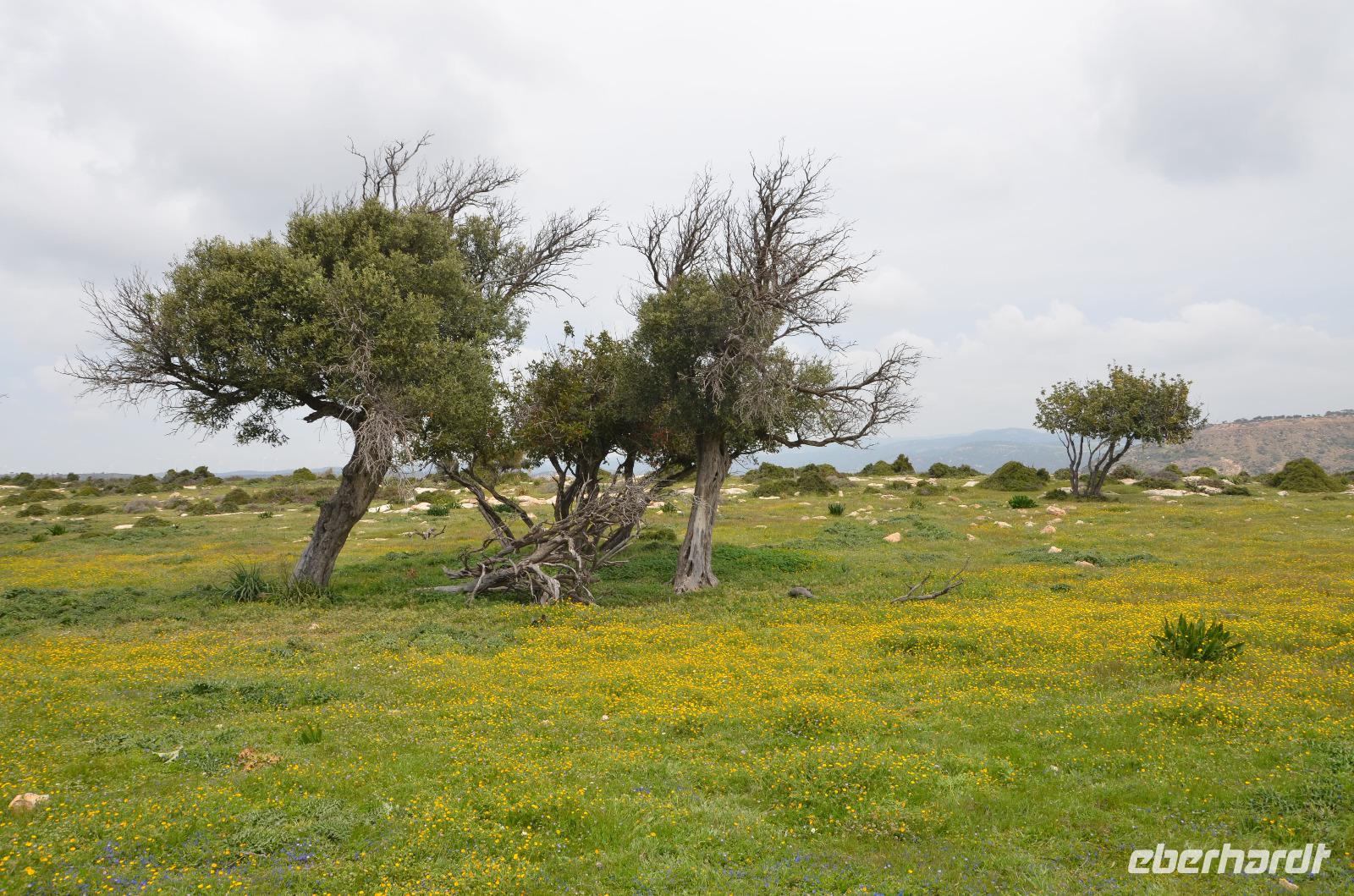 Wanderung zum Aphrodite-Felsen