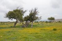 Wanderung zum Aphrodite-Felsen