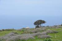 Blick aufs Mittelmeer