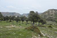 Wanderung zum Aphrodite-Felsen