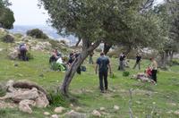 Rast an der Südküste Zyperns