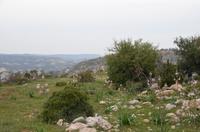Wanderung zum Aphrodite-Felsen