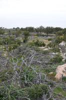 Wanderung zum Aphrodite-Felsen